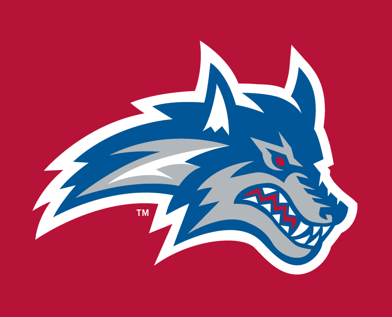 Stony Brook Seawolves 2008-Pres Alternate Logo v2 diy iron on heat transfer